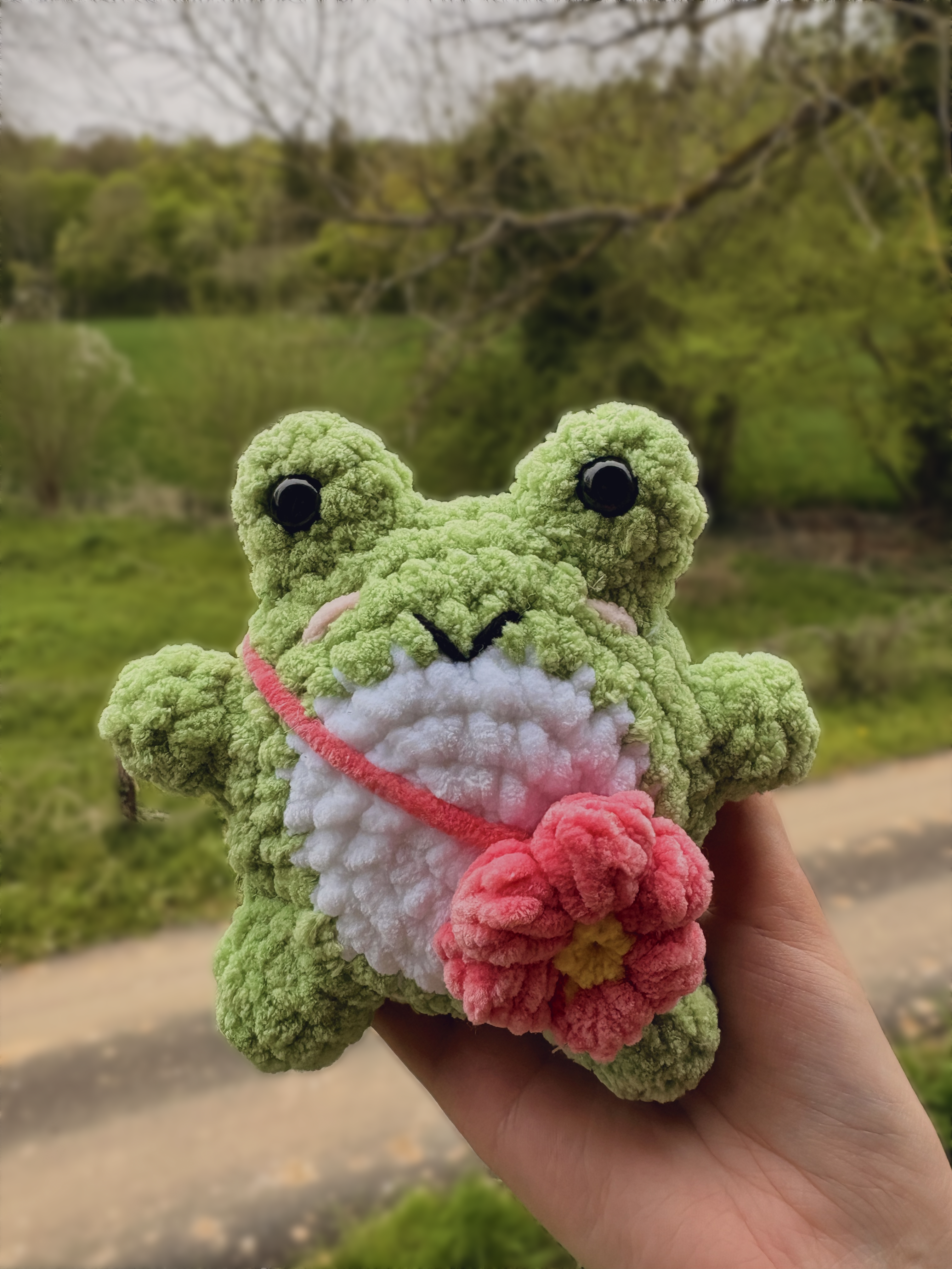 Grenouilles