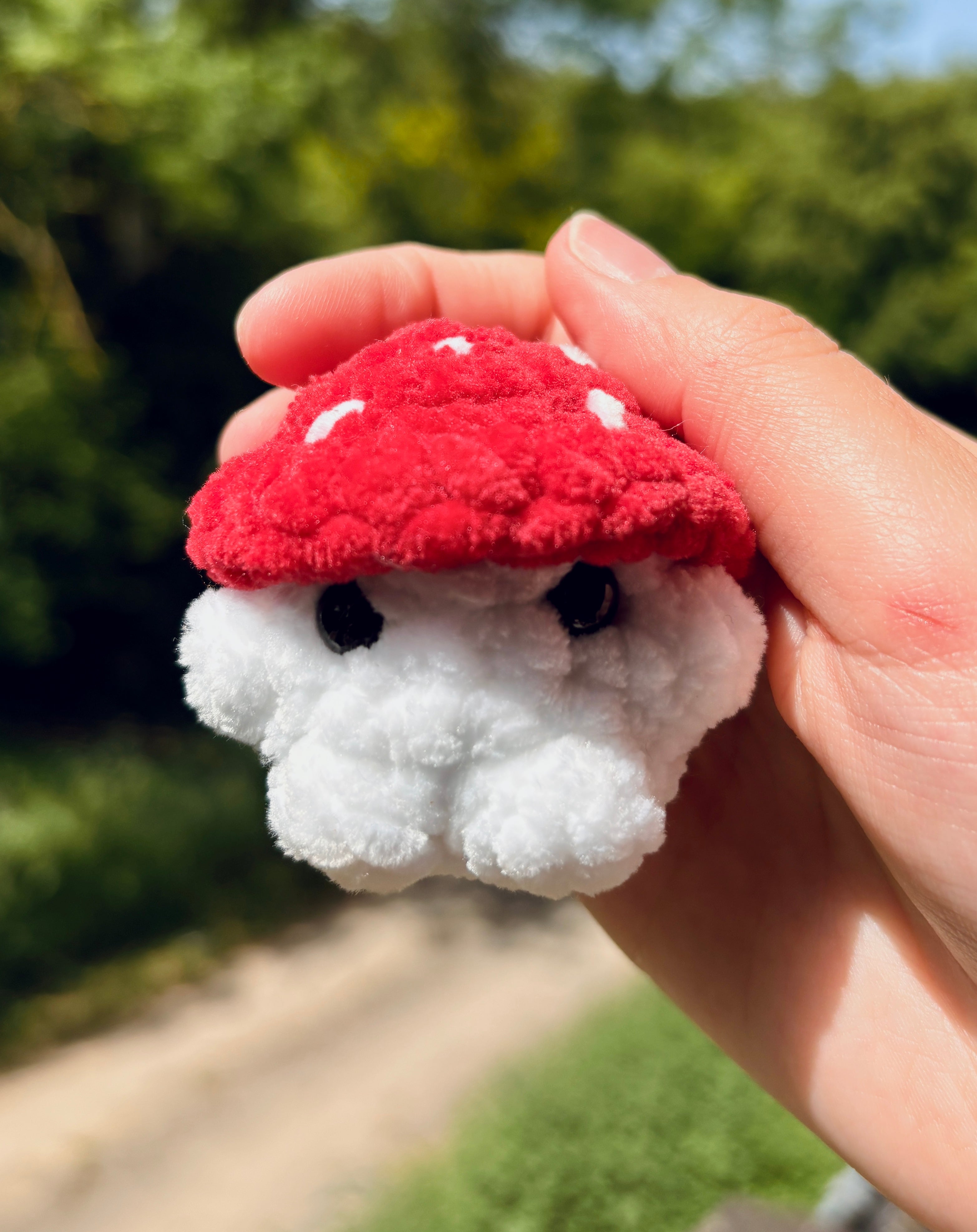 Champignons