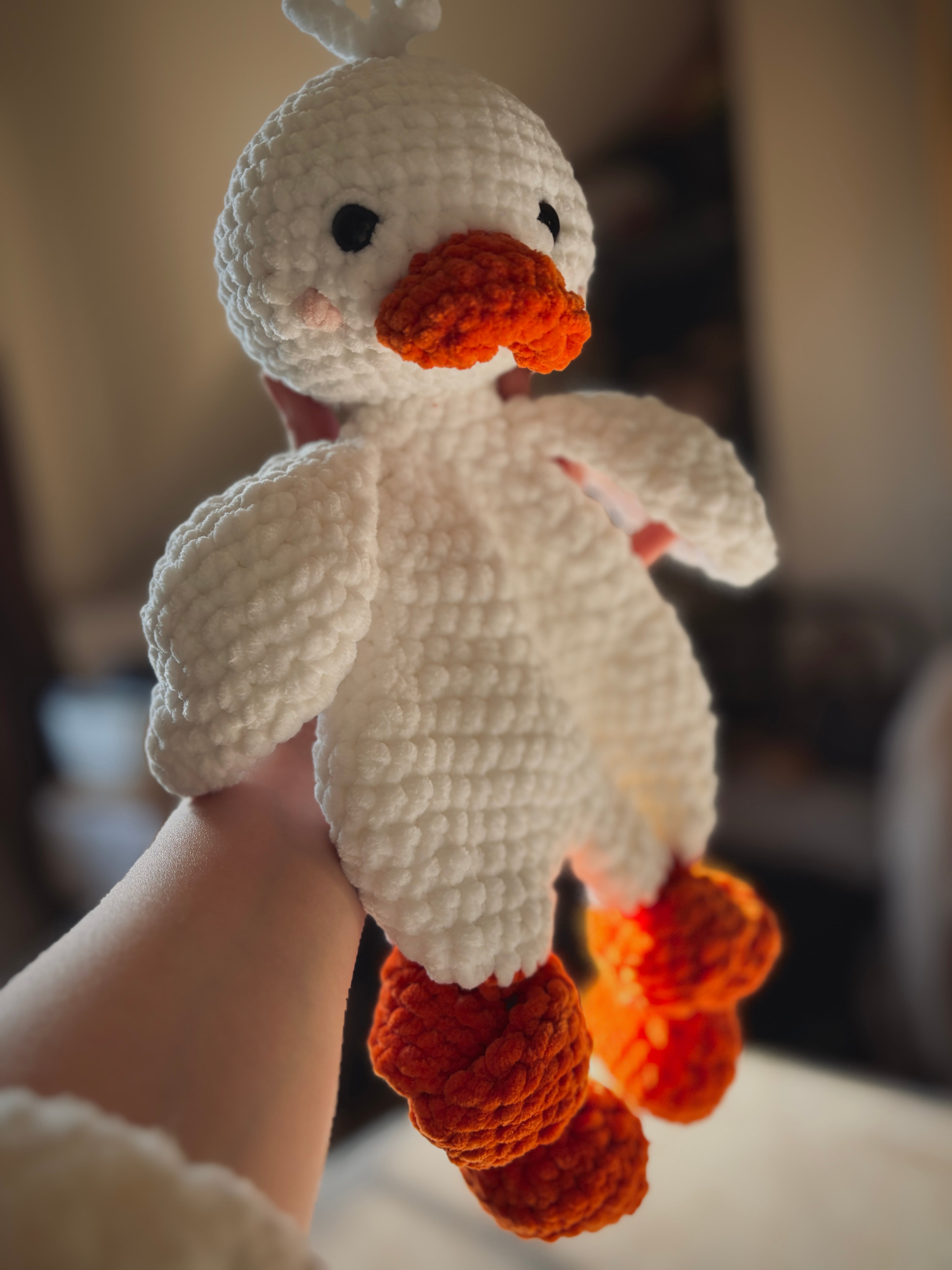 Canard