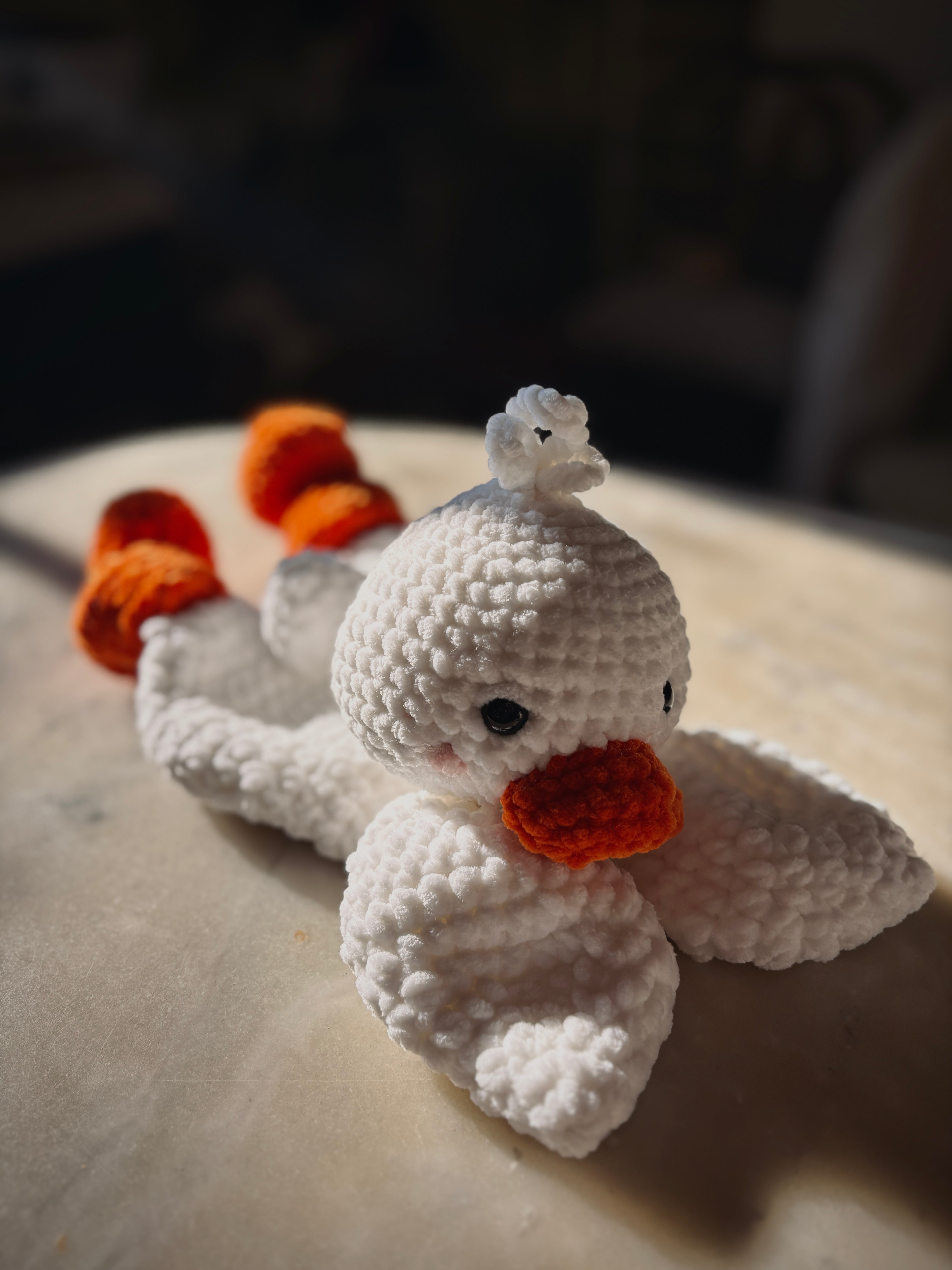 Canard